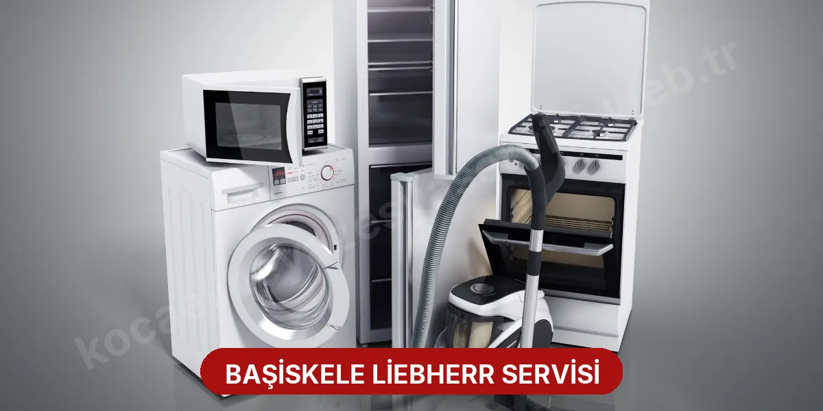 Başiskele Liebherr Servisi