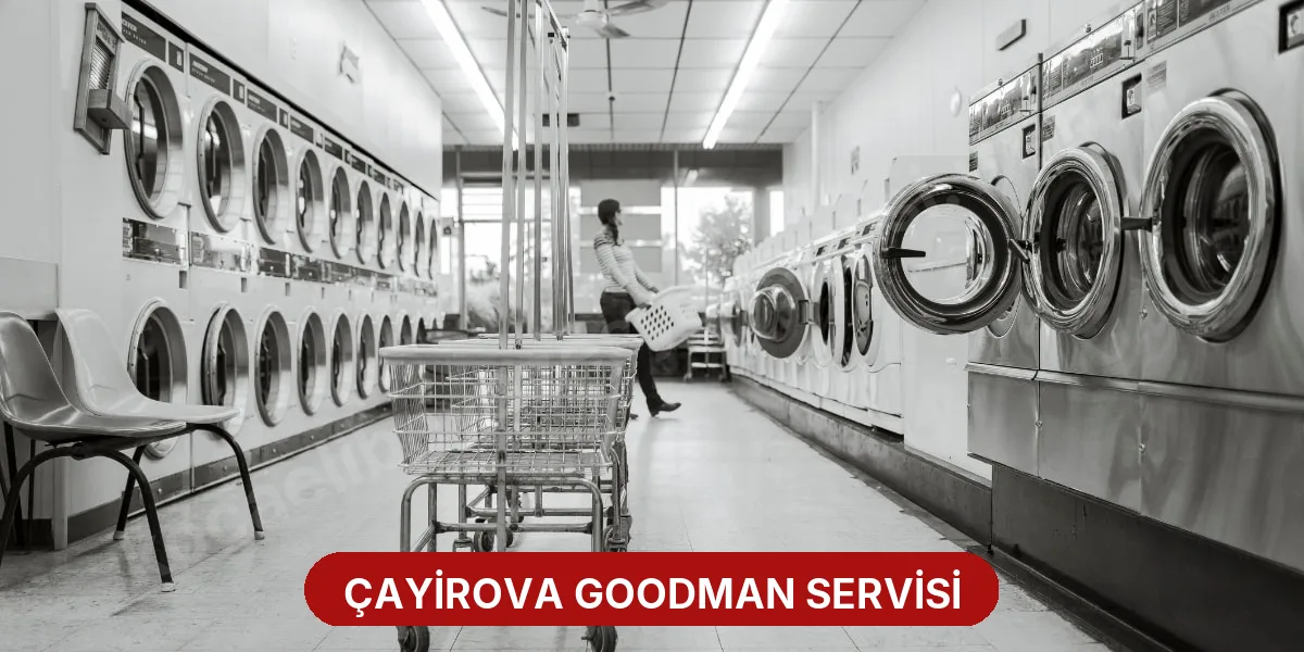Çayirova Goodman Servisi
