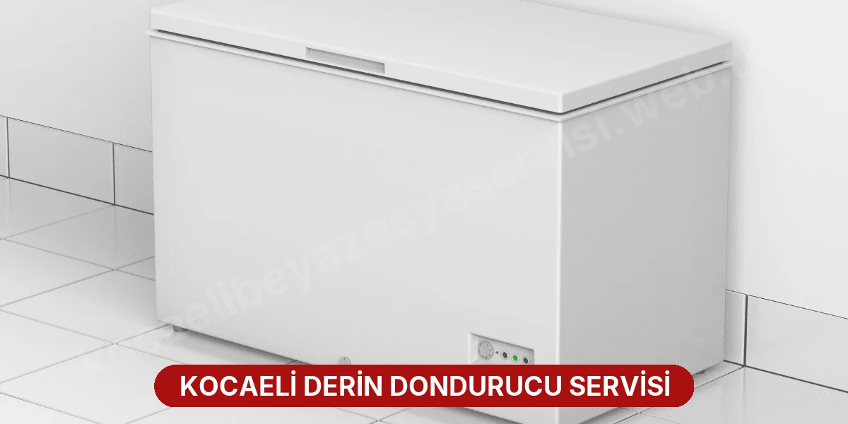 Kocaeli Derin Dondurucu Servisi