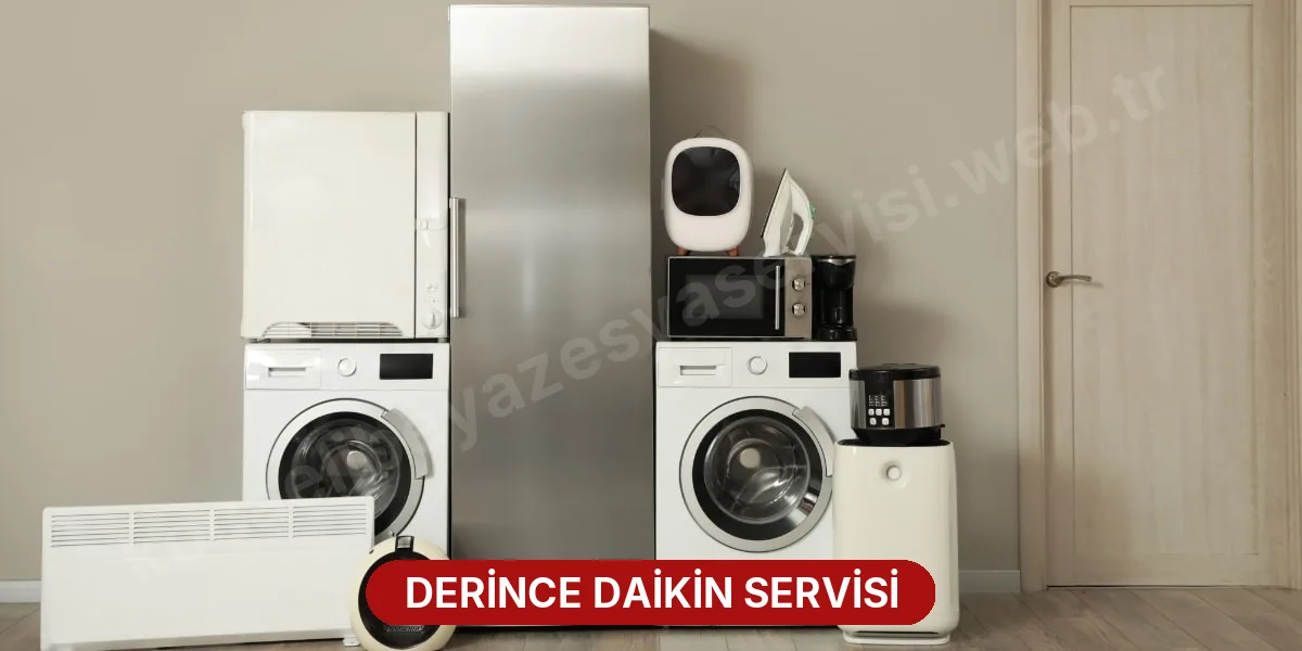 Derince Daikin Servisi