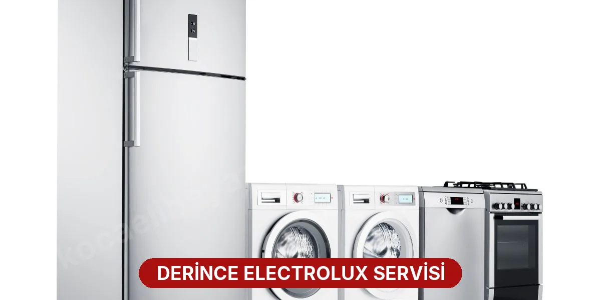 Derince Electrolux Servisi