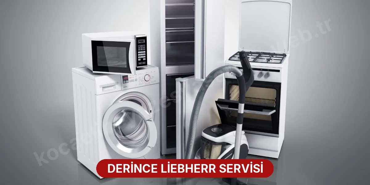 Derince Liebherr Servisi
