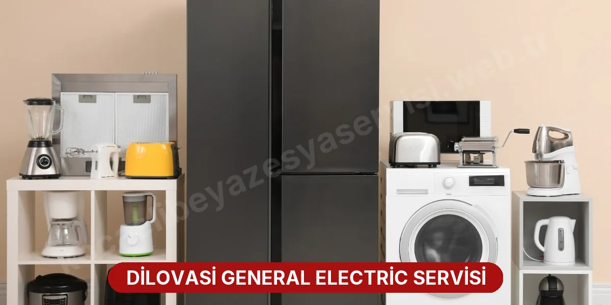 Dilovasi General Electric Servisi