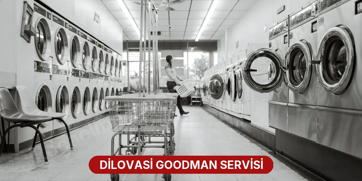 Dilovasi Goodman Servisi