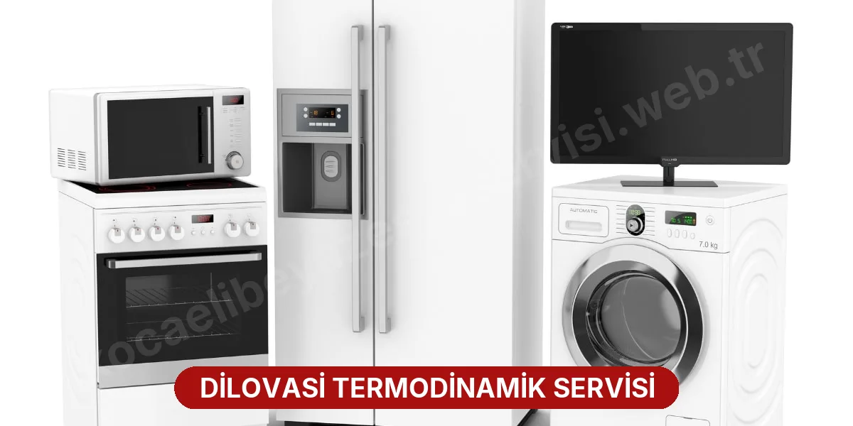 Dilovasi Termodinamik Servisi
