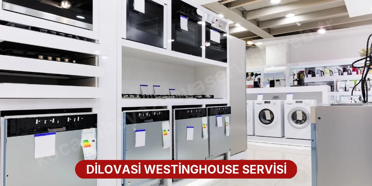 Dilovasi Westinghouse Servisi