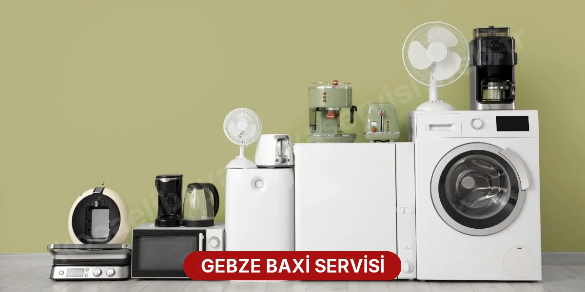 Gebze Baxi Servisi