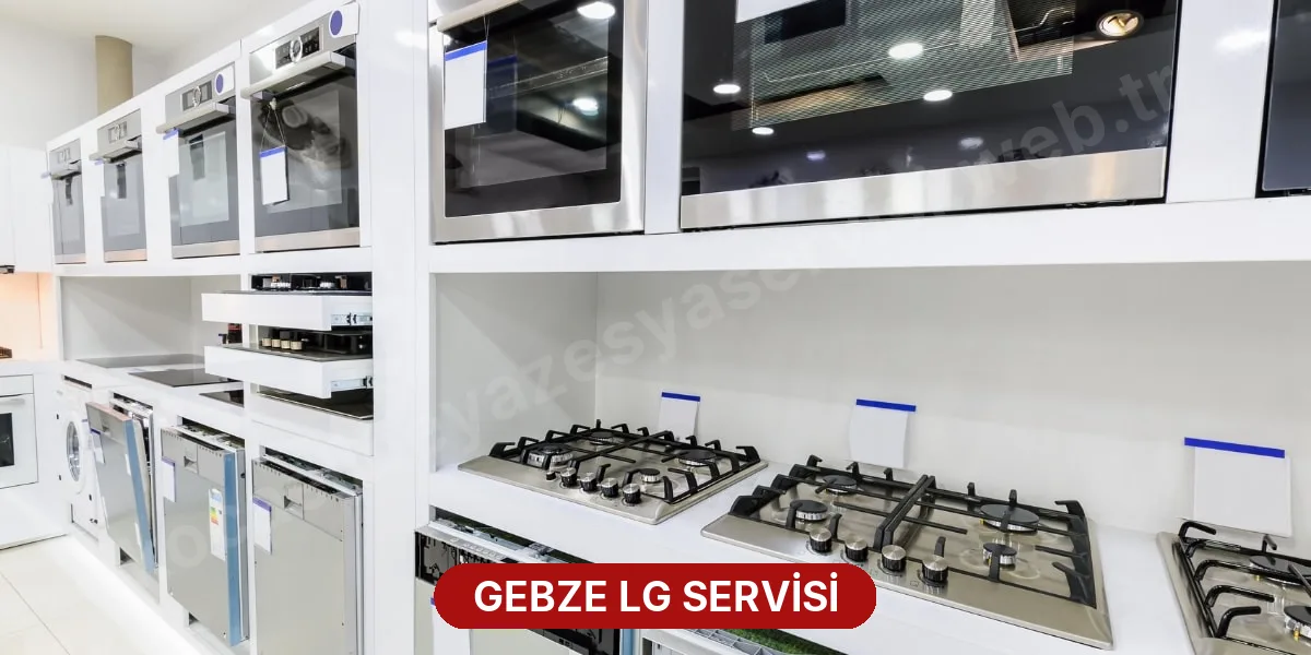 Gebze LG Servisi