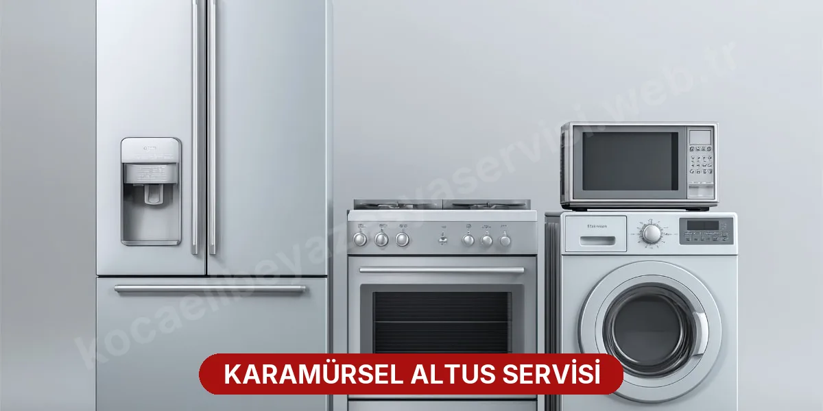 Karamürsel Altus Servisi