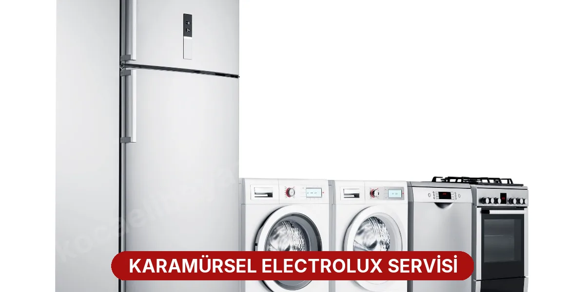 Karamürsel Electrolux Servisi