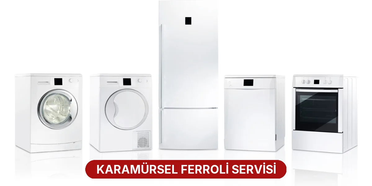 Karamürsel Ferroli Servisi