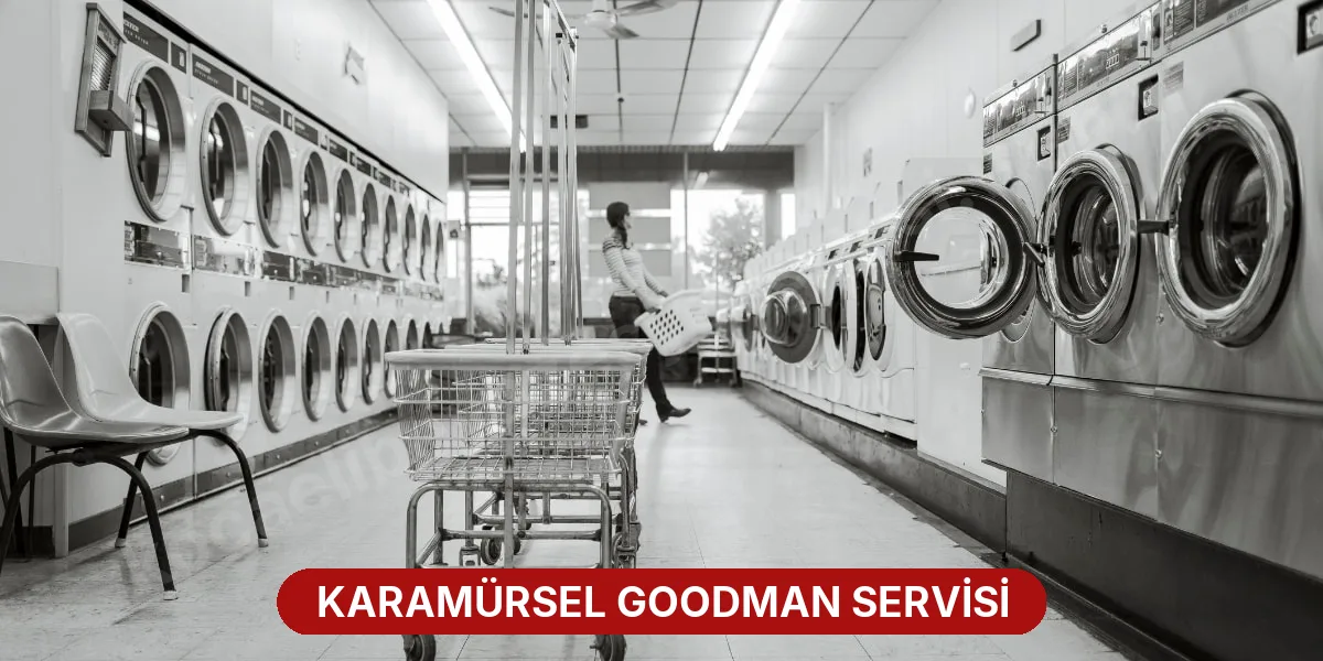 Karamürsel Goodman Servisi