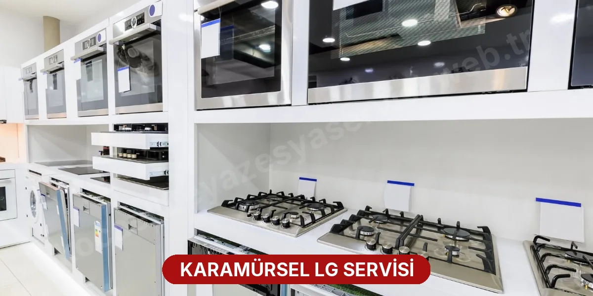 Karamürsel LG Servisi