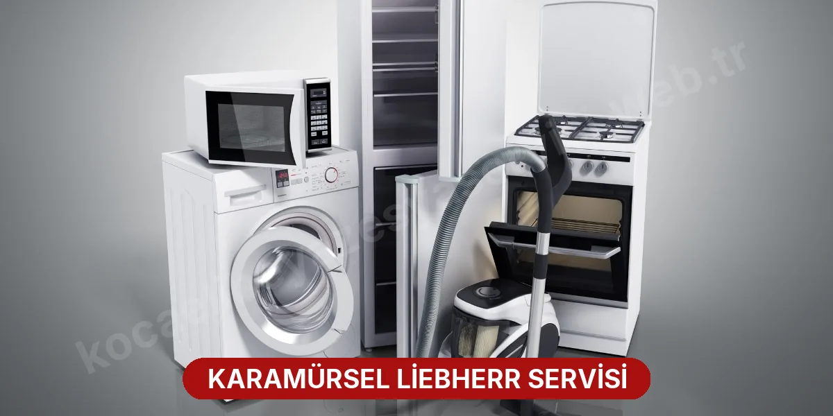 Karamürsel Liebherr Servisi