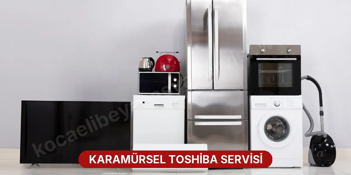 Karamürsel Toshiba Servisi