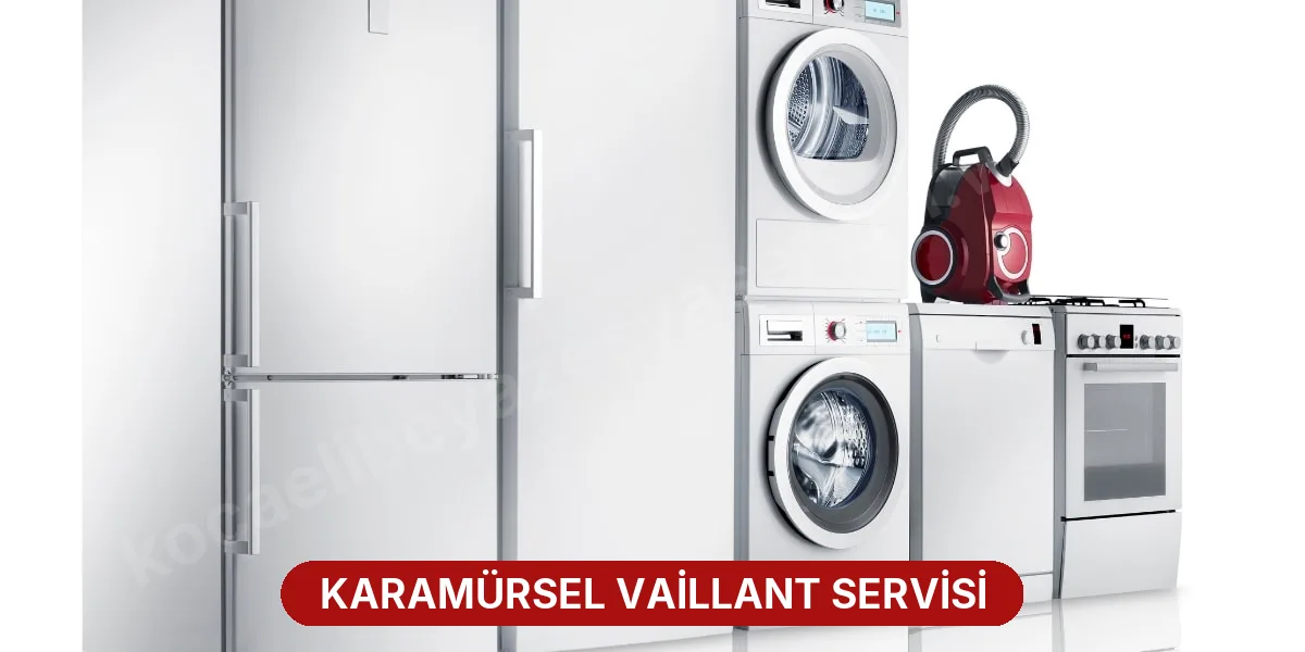 Karamürsel Vaillant Servisi