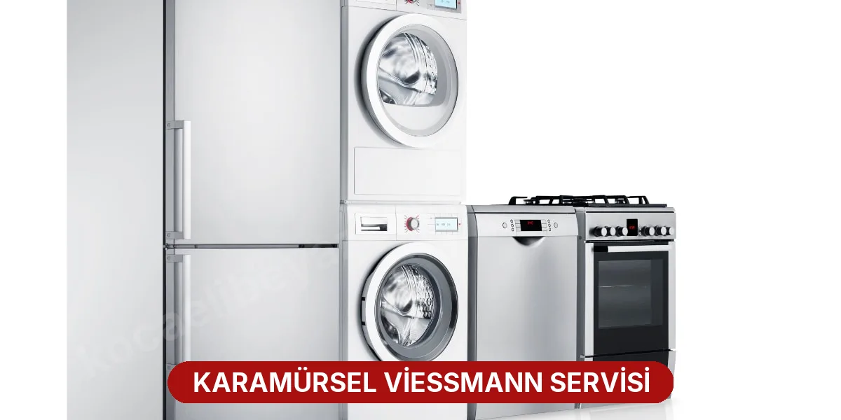 Karamürsel Viessmann Servisi