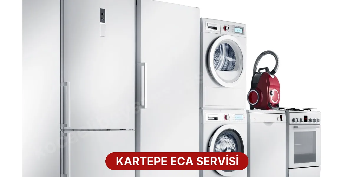 Kartepe ECA Servisi