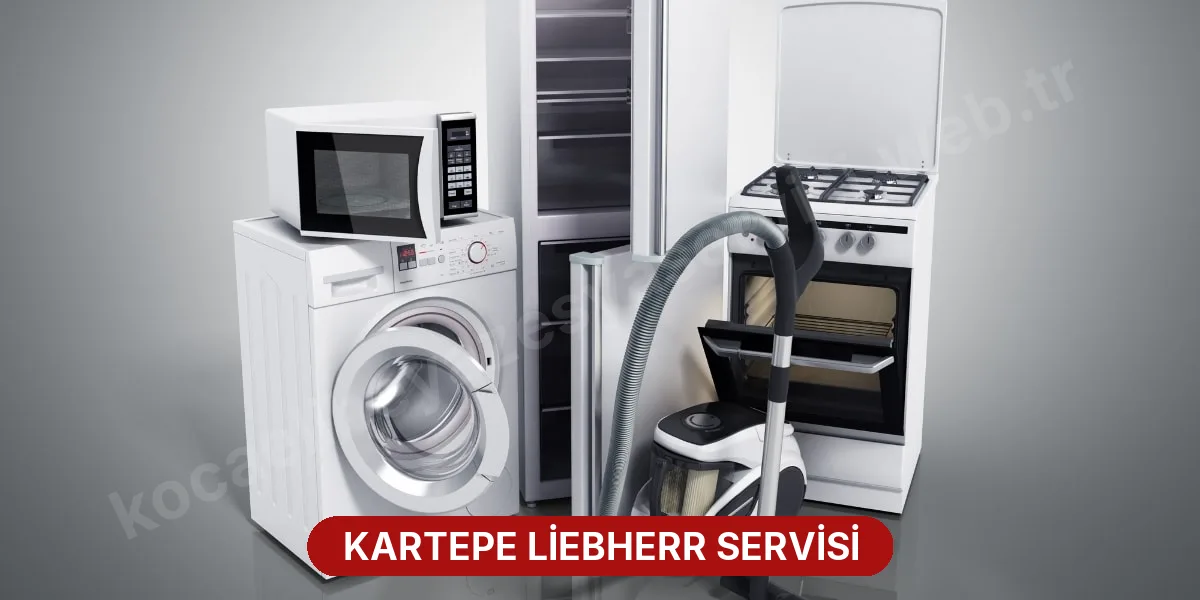 Kartepe Liebherr Servisi