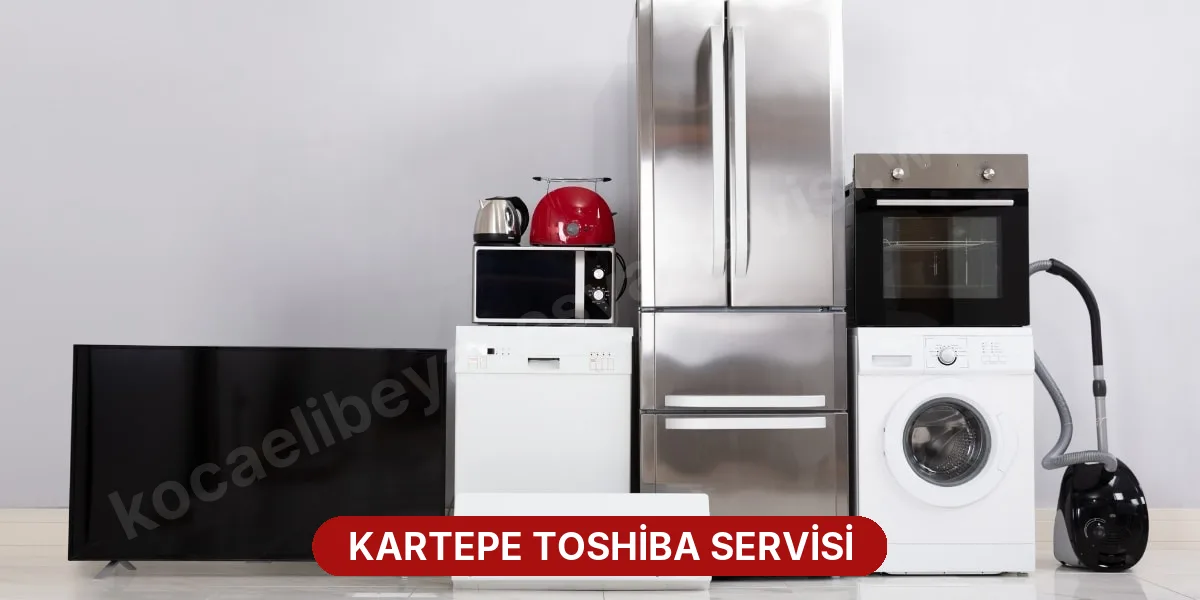 Kartepe Toshiba Servisi
