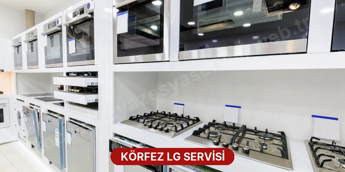 Körfez LG Servisi