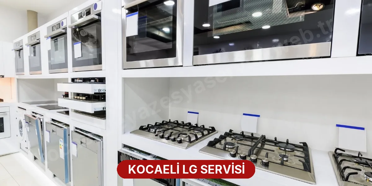 Kocaeli LG Servisi